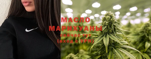 spice Богданович