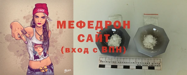 spice Богданович