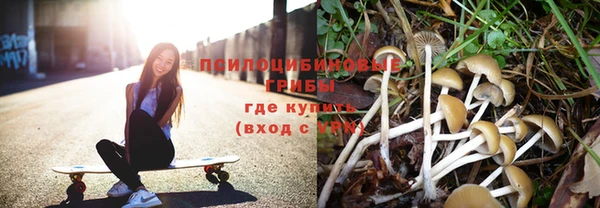 не бодяженный Богородицк