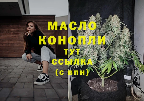 spice Богданович