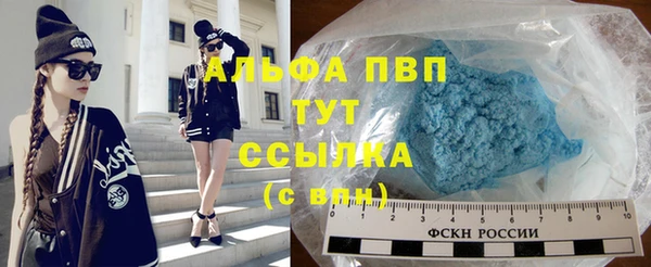 дживик Снежинск