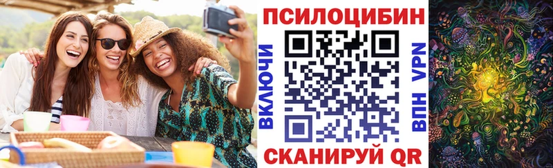 Галлюциногенные грибы прущие грибы  мега ССЫЛКА  Дудинка 